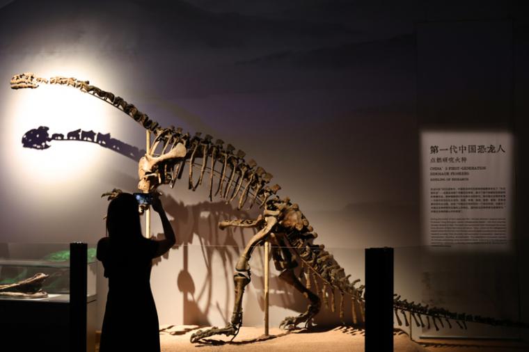 恐龍真能“復活”?“恐龍院士”徐星:未來真有可能,至少我不會驚訝